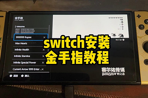 NS游戏金手指从文件安装到功能激活