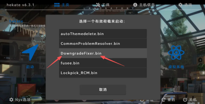 有效载荷选择界面截图