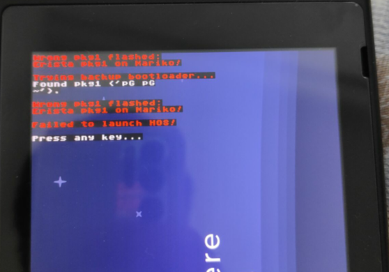 系统启动失败报错界面示例